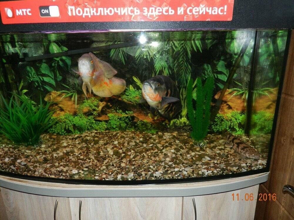 Фото Гостиницы Боярд Уссурийск 24